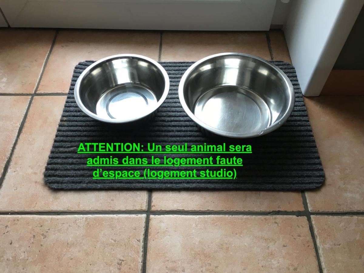 Studio "Pause A La Naturelle" Wimereux- Cote D'Opale Buitenkant foto